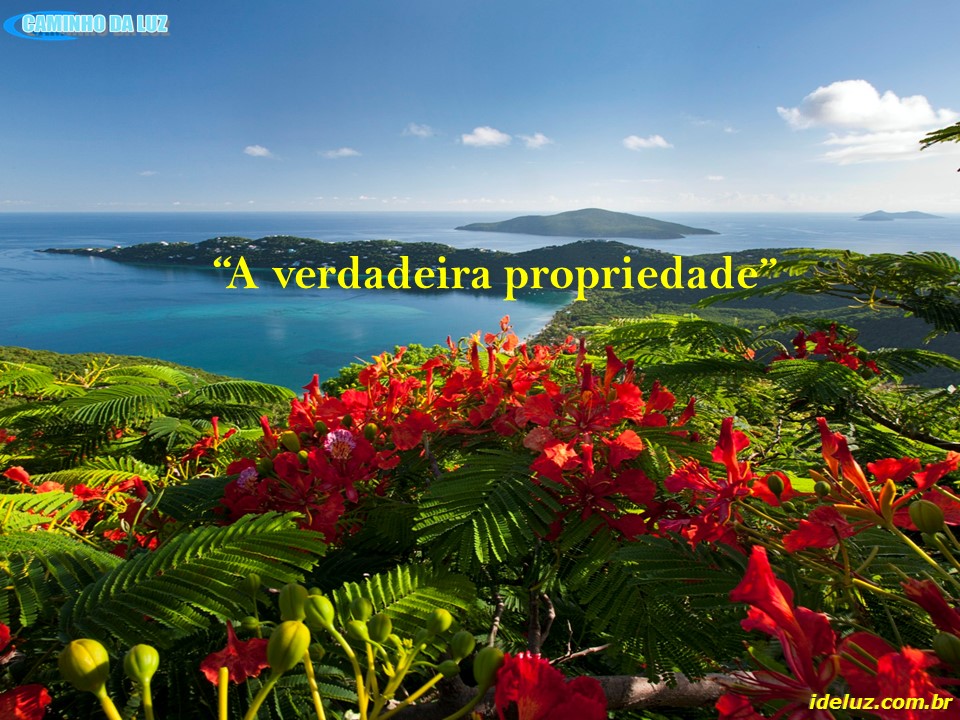 A Verdadeira Propriedade