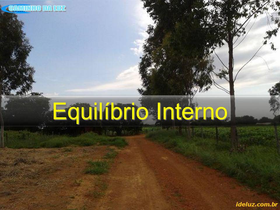 O Equilíbrio Interno