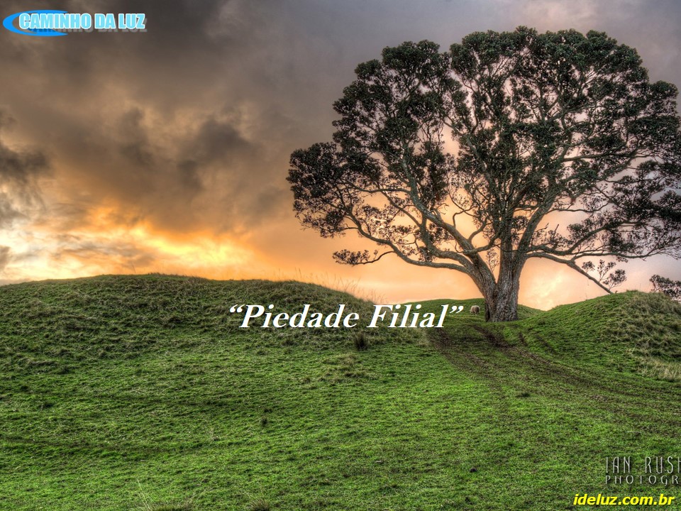 Piedade Filial