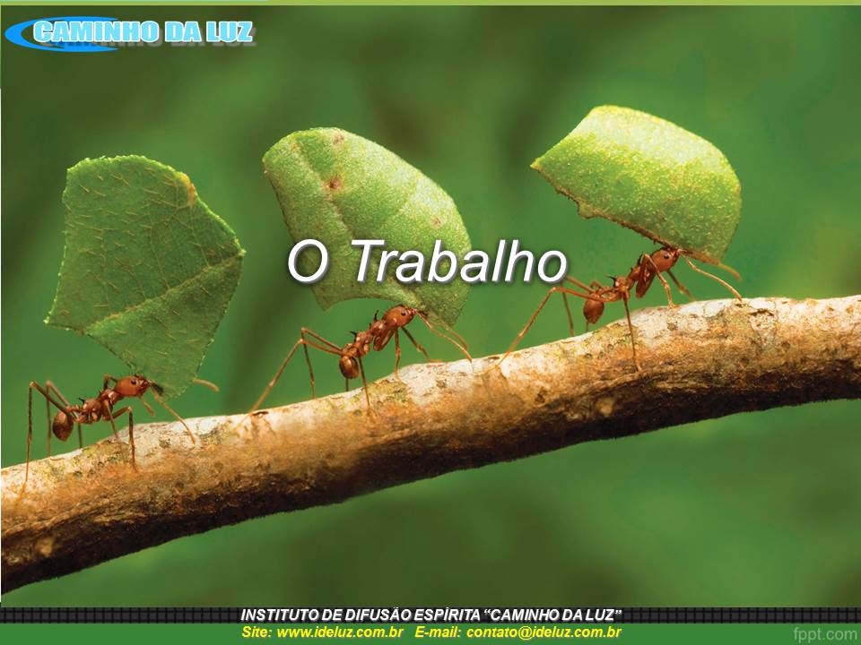 O Trabalho