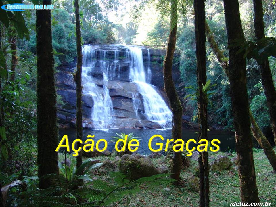 Ação de Graças