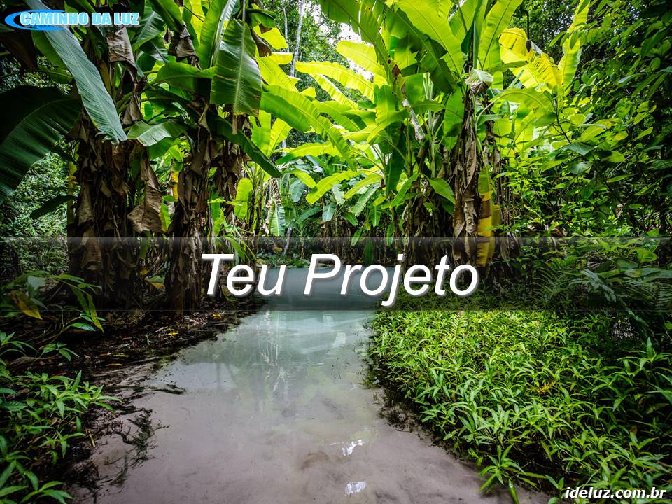 Teu Projeto