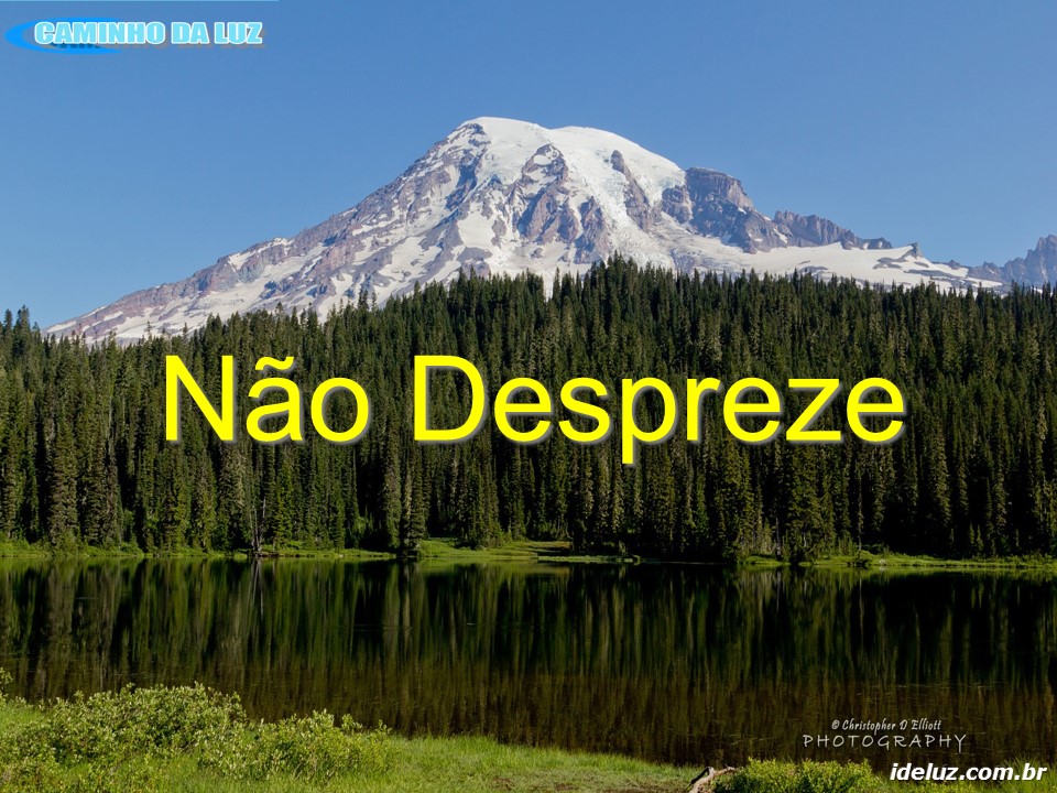 Não Despreze