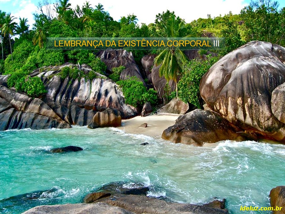 Lembrança da Vida Corporal III