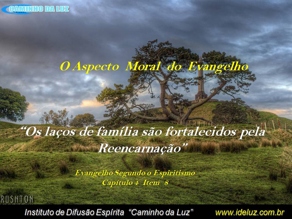Os Laços de Familia e a Reencarnação