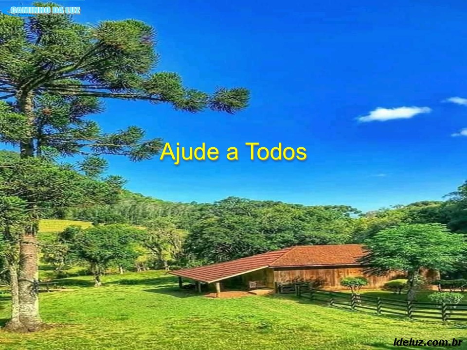 Ajude a todos