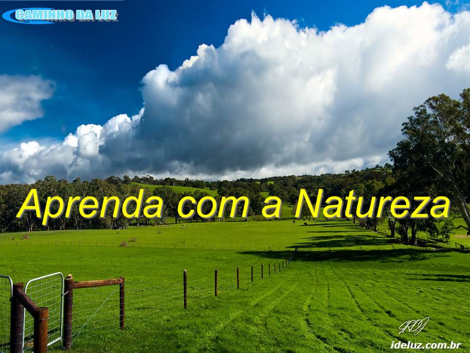 Aprenda com a Natureza