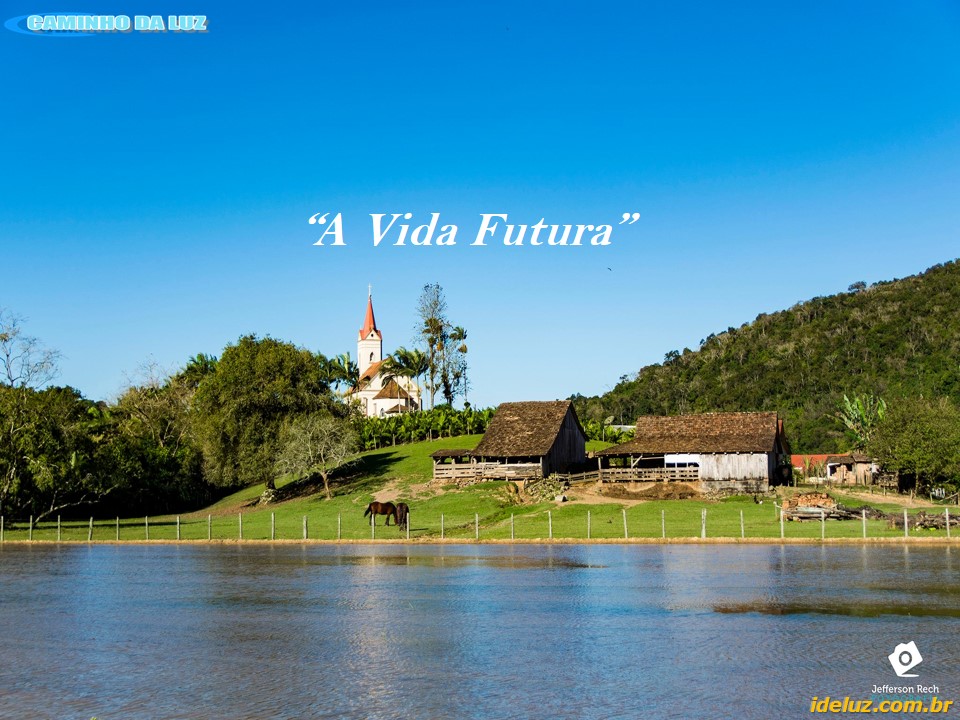 A Vida Futura