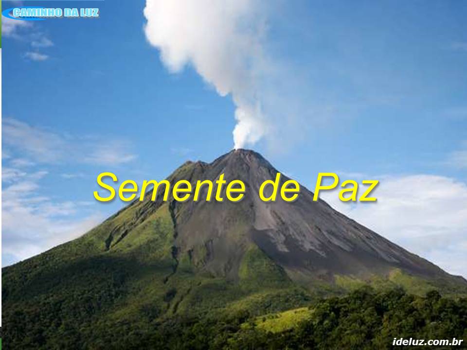 Semente de Paz