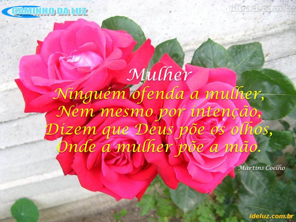 Ninguém ofenda a mulher