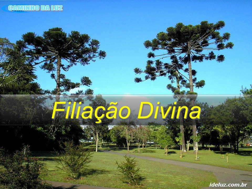 Filiação Divina