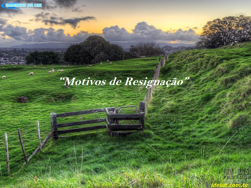 Motivos de Resignação