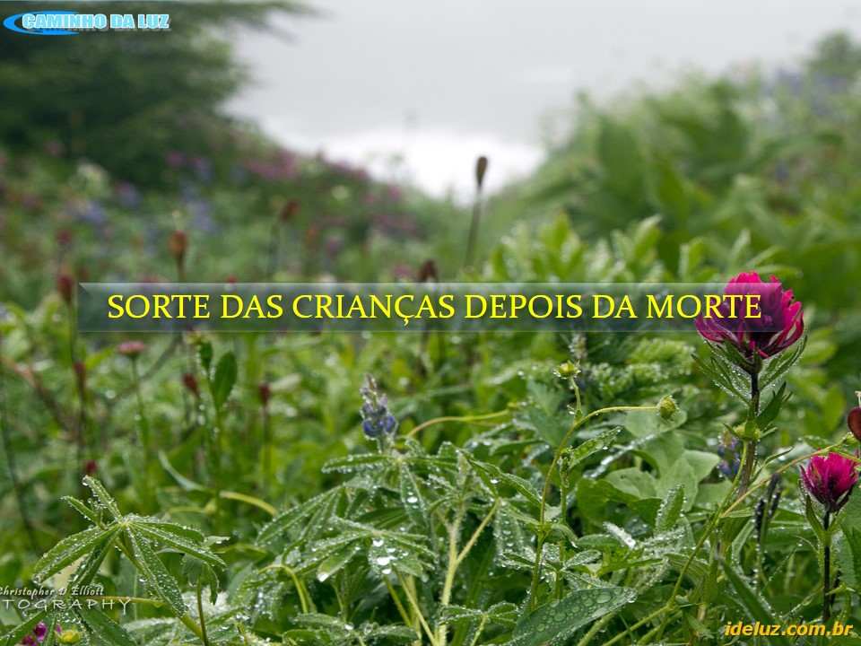 Sorte das Crianças depois da Morte