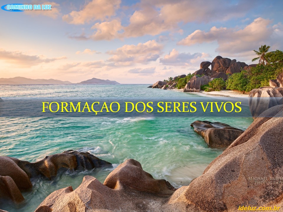 Formação dos Seres Vivos