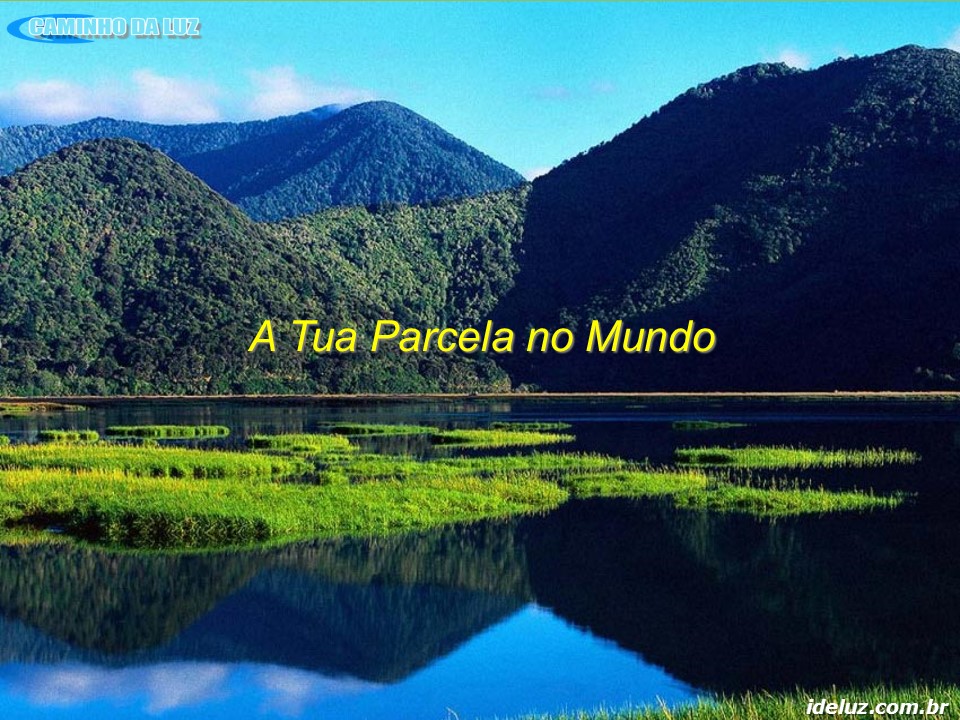 A tua parcela no mundo