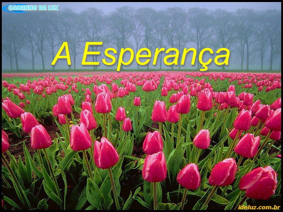 A Esperança