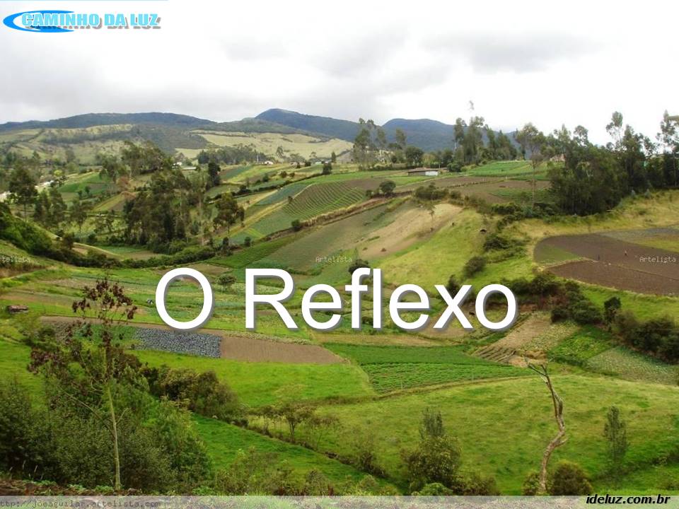 O Reflexo