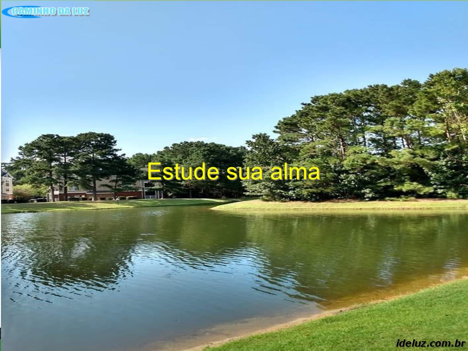 Estude sua Alma