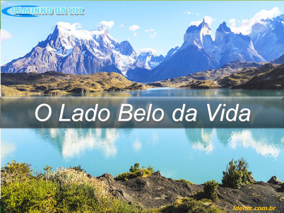 O lado belo da vida