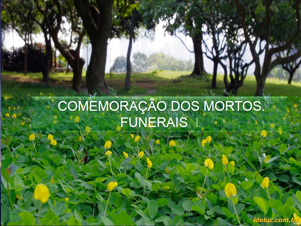 Comemoração dos Mortos - Funerais I