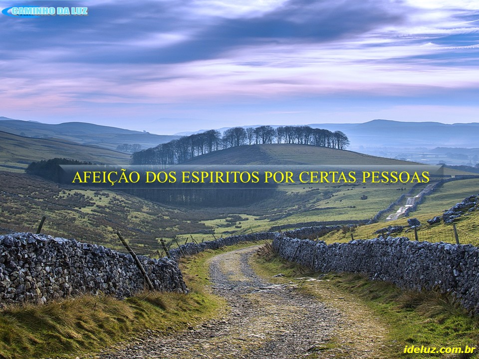 Afeições dos Espíritos por certas pessoas