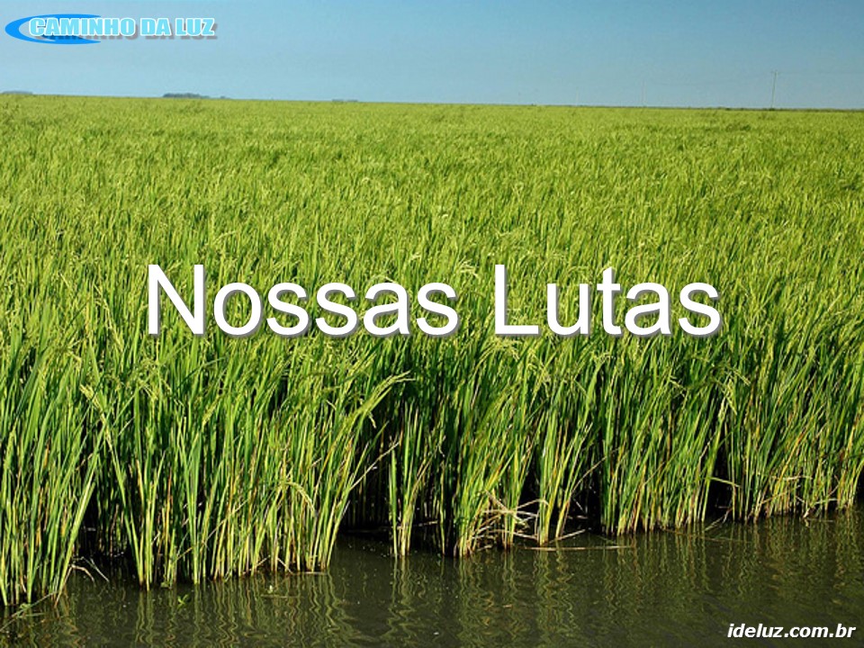 Nossas Lutas