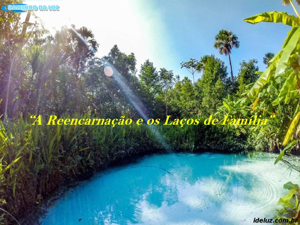 Reencarnação e os Laços de Familia