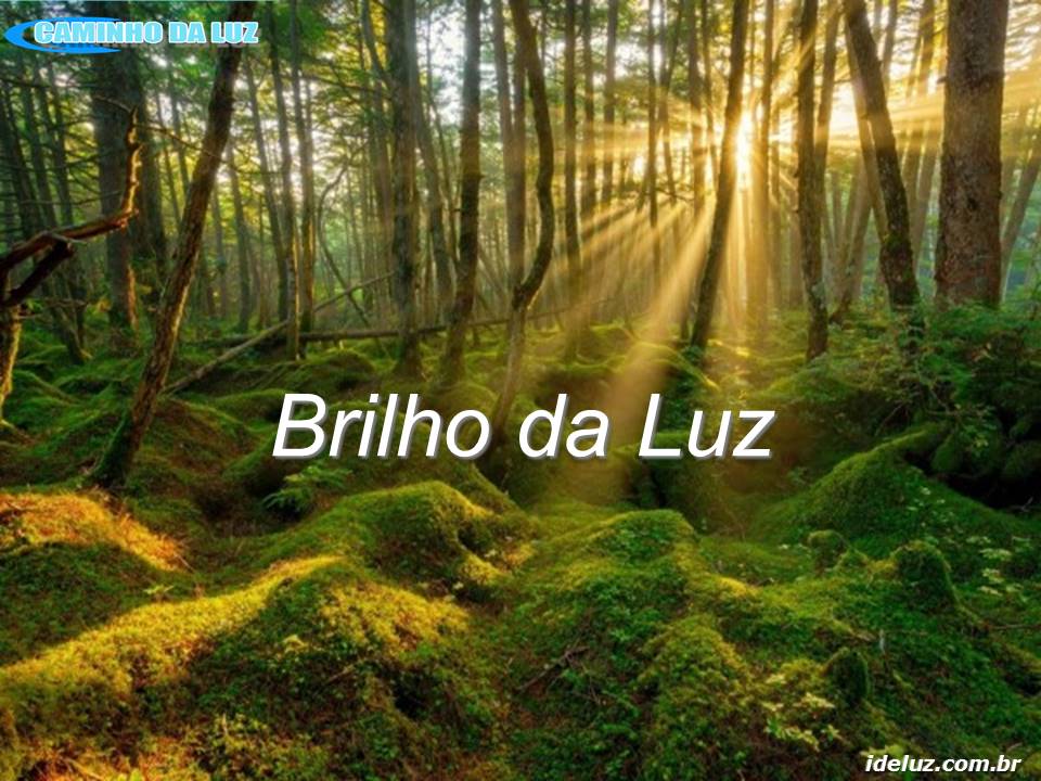 O Brilho da Luz