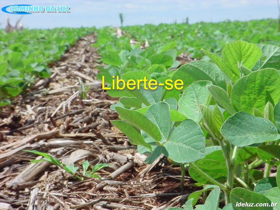 Liberte-se