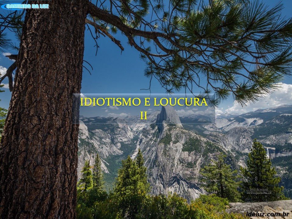 Idiotismo e Loucura II