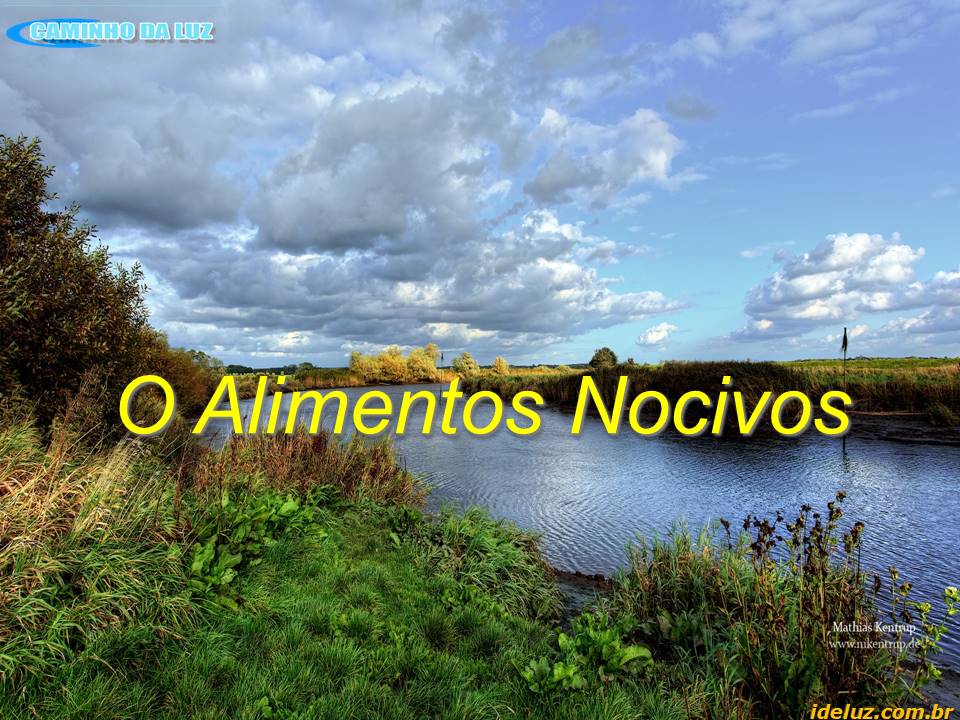 Os Alimentos Nocivos