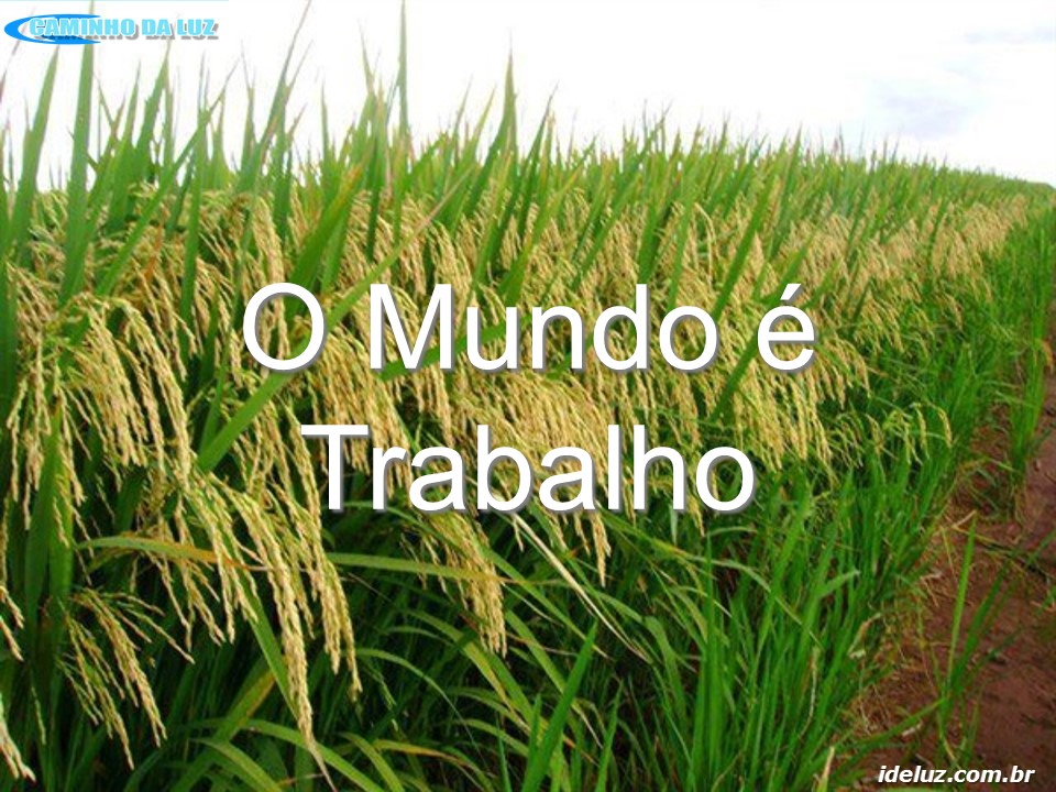O Mundo é Trabalho