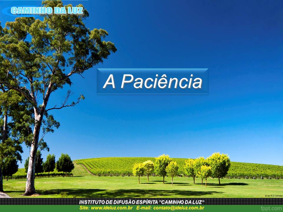 A Paciência