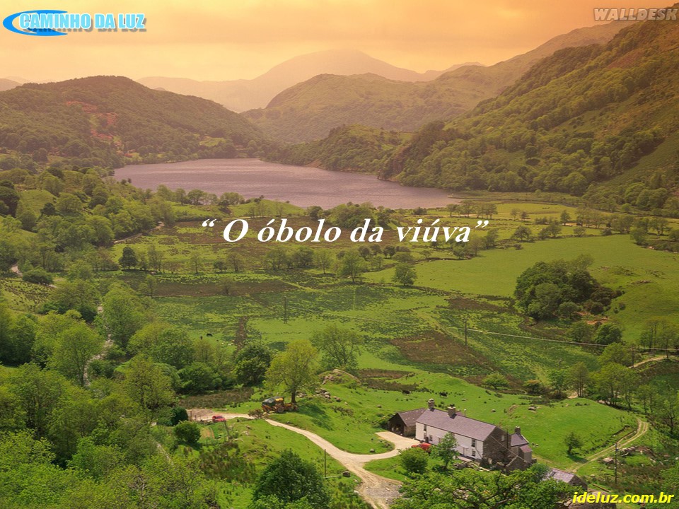 O Óbulo da Viúva