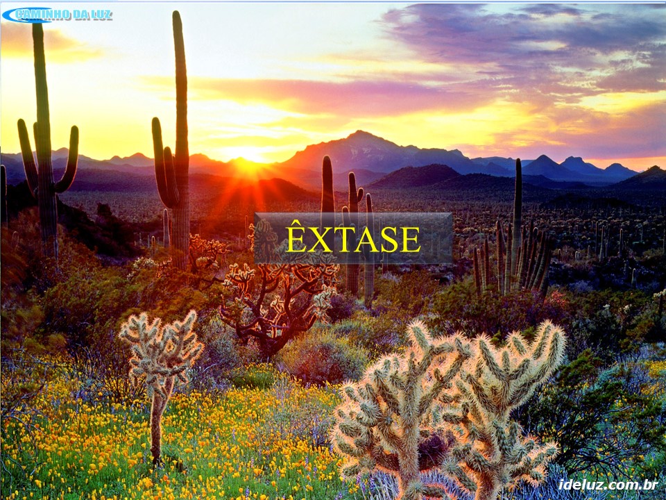 Extâse