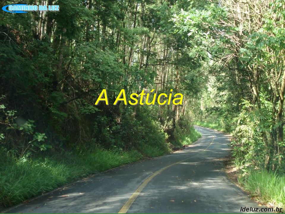 A Astúcia
