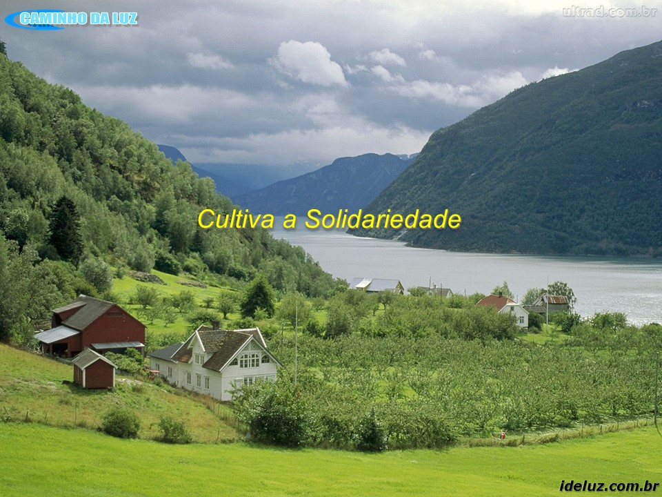 Cultiva a Solidariedade