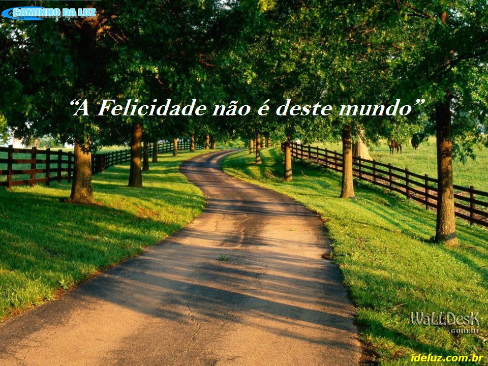 A Felicidade não é deste mundo