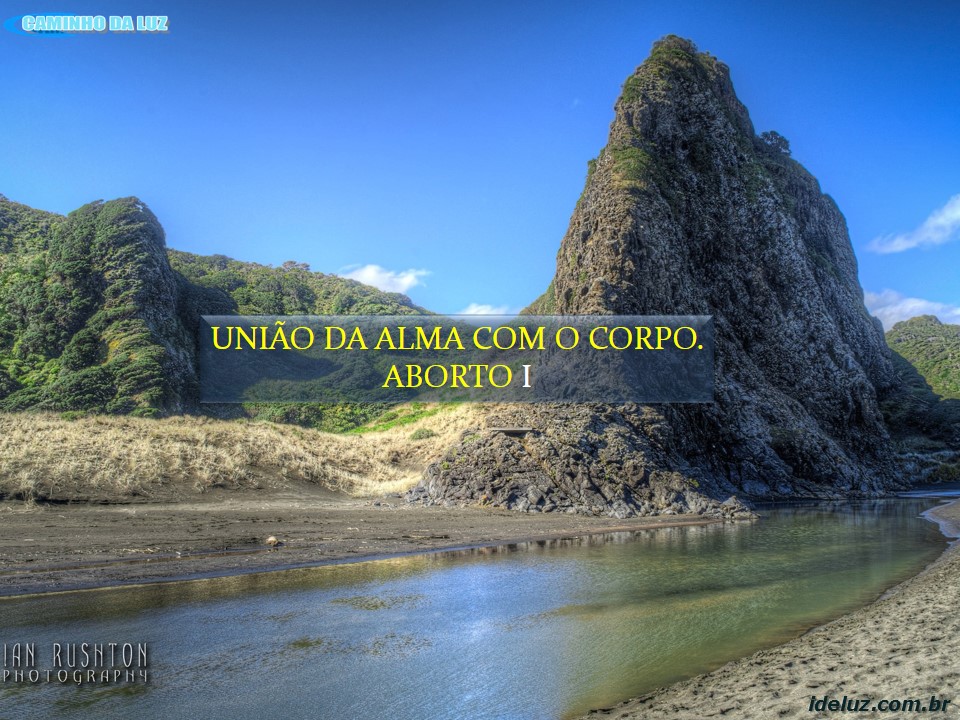 União da Alma e do Corpo I