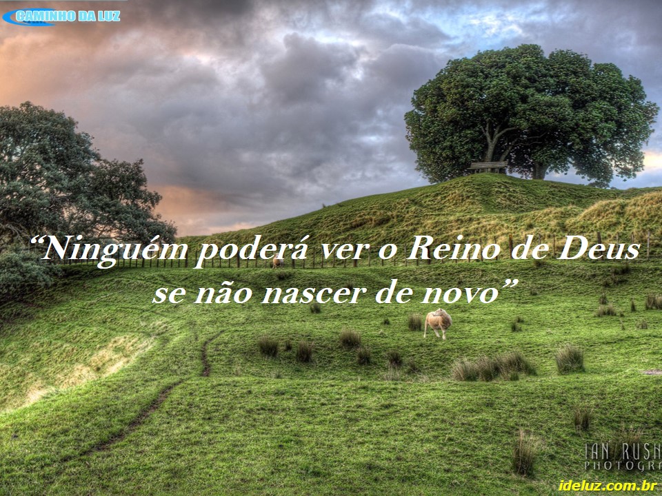 Ninguém poderá ver o Reino de Deus se não nascer de novo