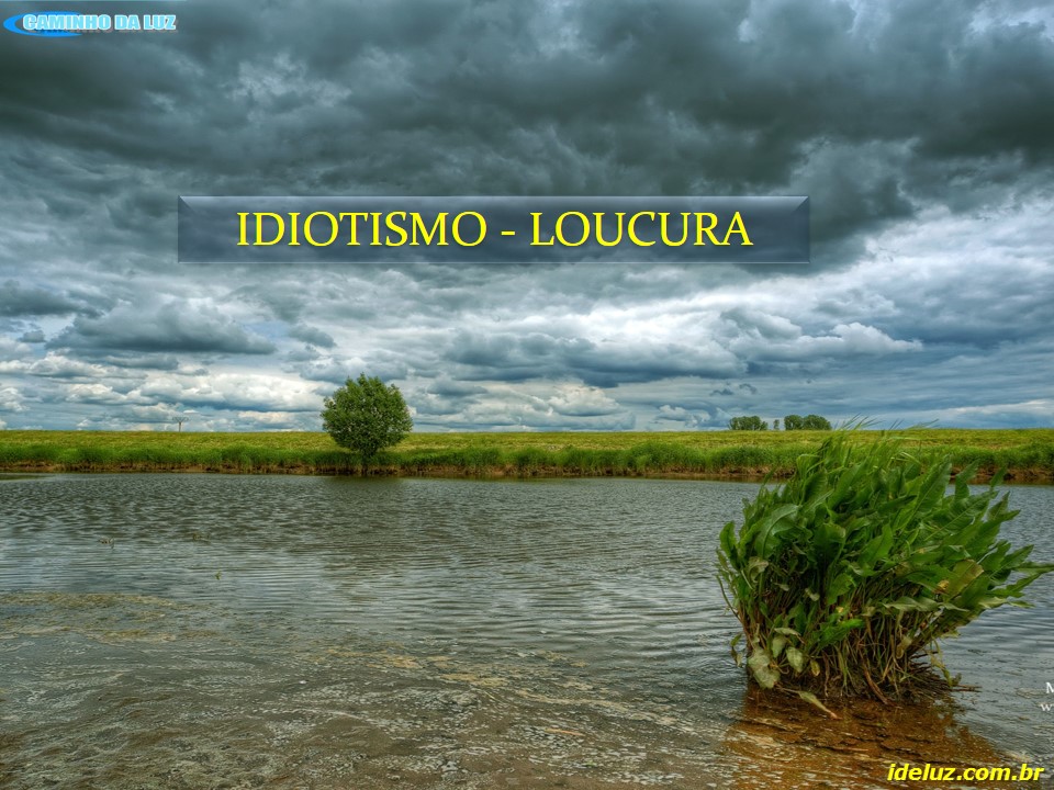 Idiotismo e Loucura