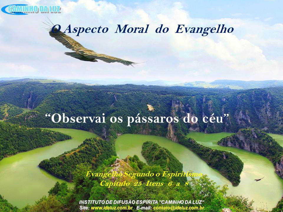 Observai dos Pássaros do Céu