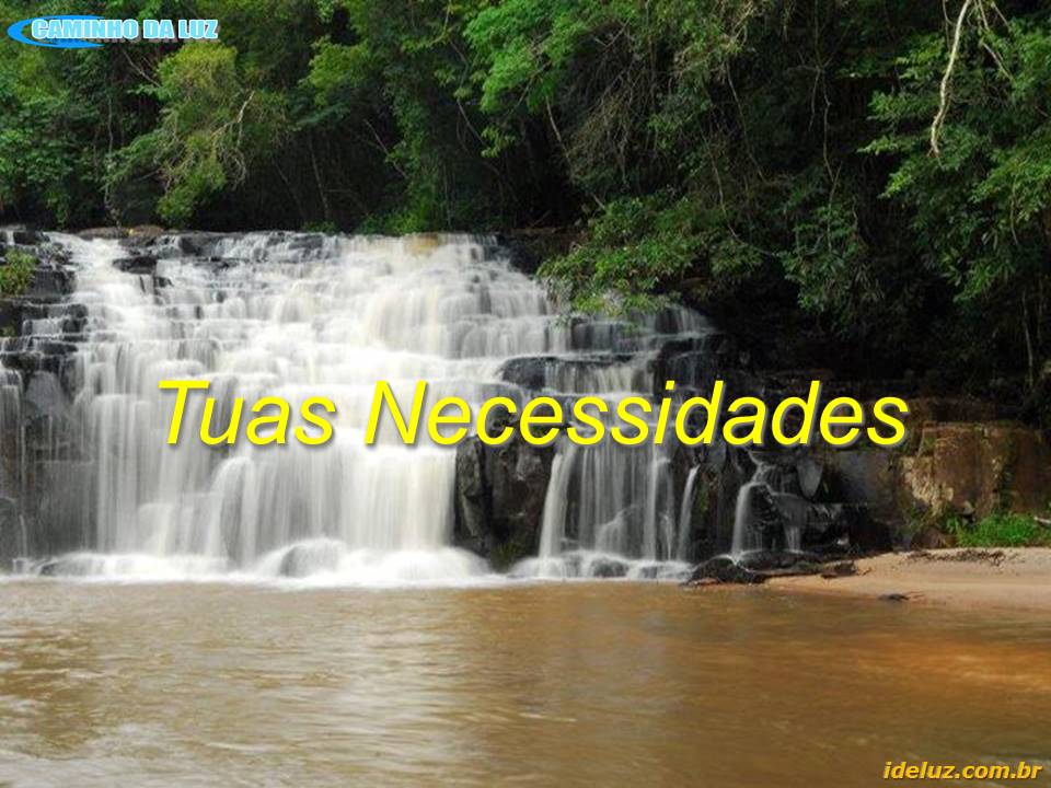 Tuas Necessidades