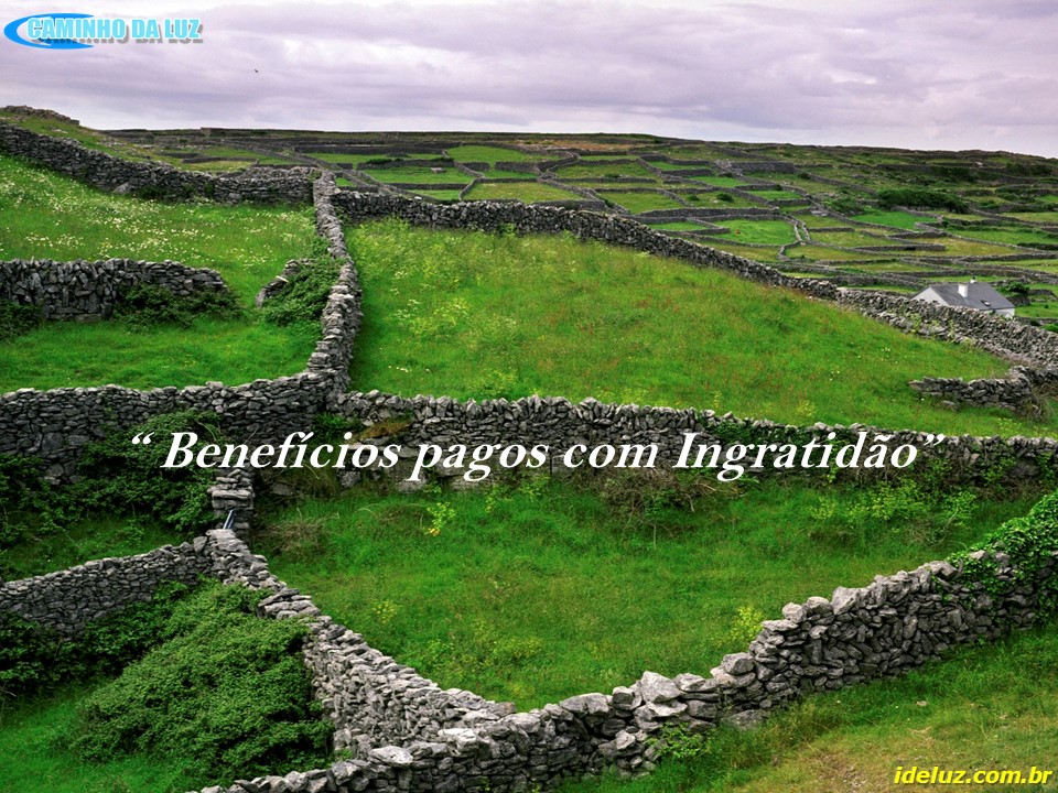 Benefícios pagos com  Ingratidão