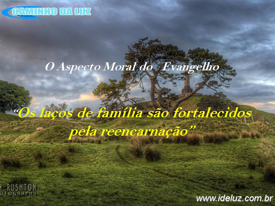 Os laços de família e a rencarnação