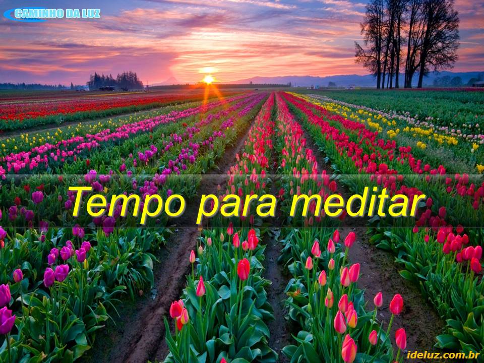 Tempo para meditar