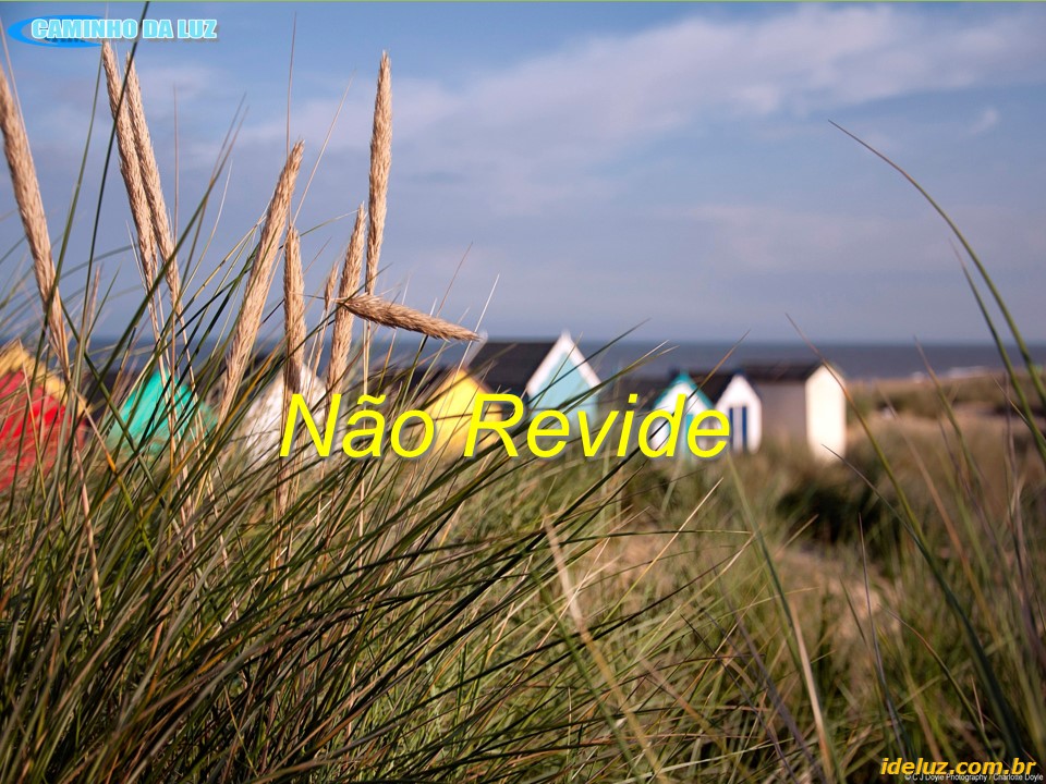 Não Revide