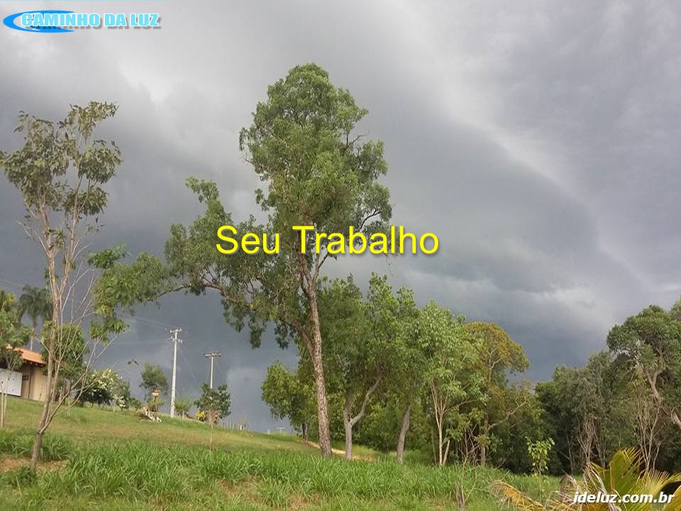 Seu Trabalho