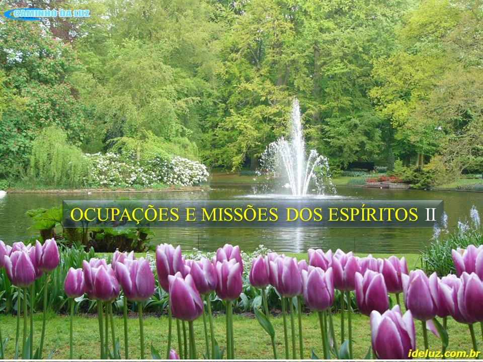Ocupações e Missões dos Espíritos II