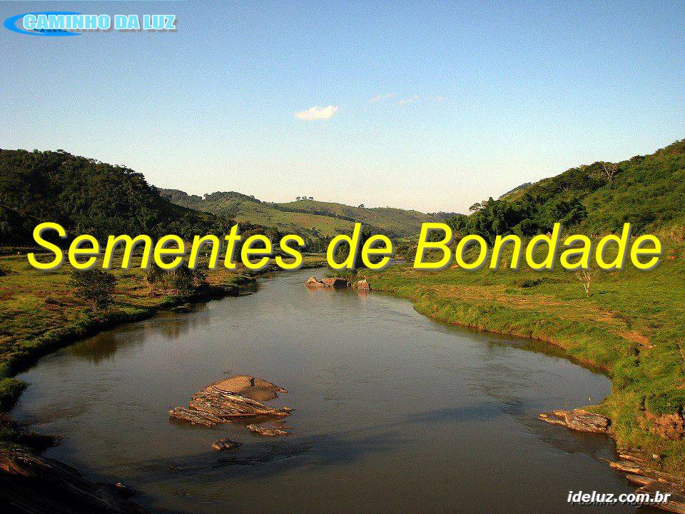 Sementes de Bondade